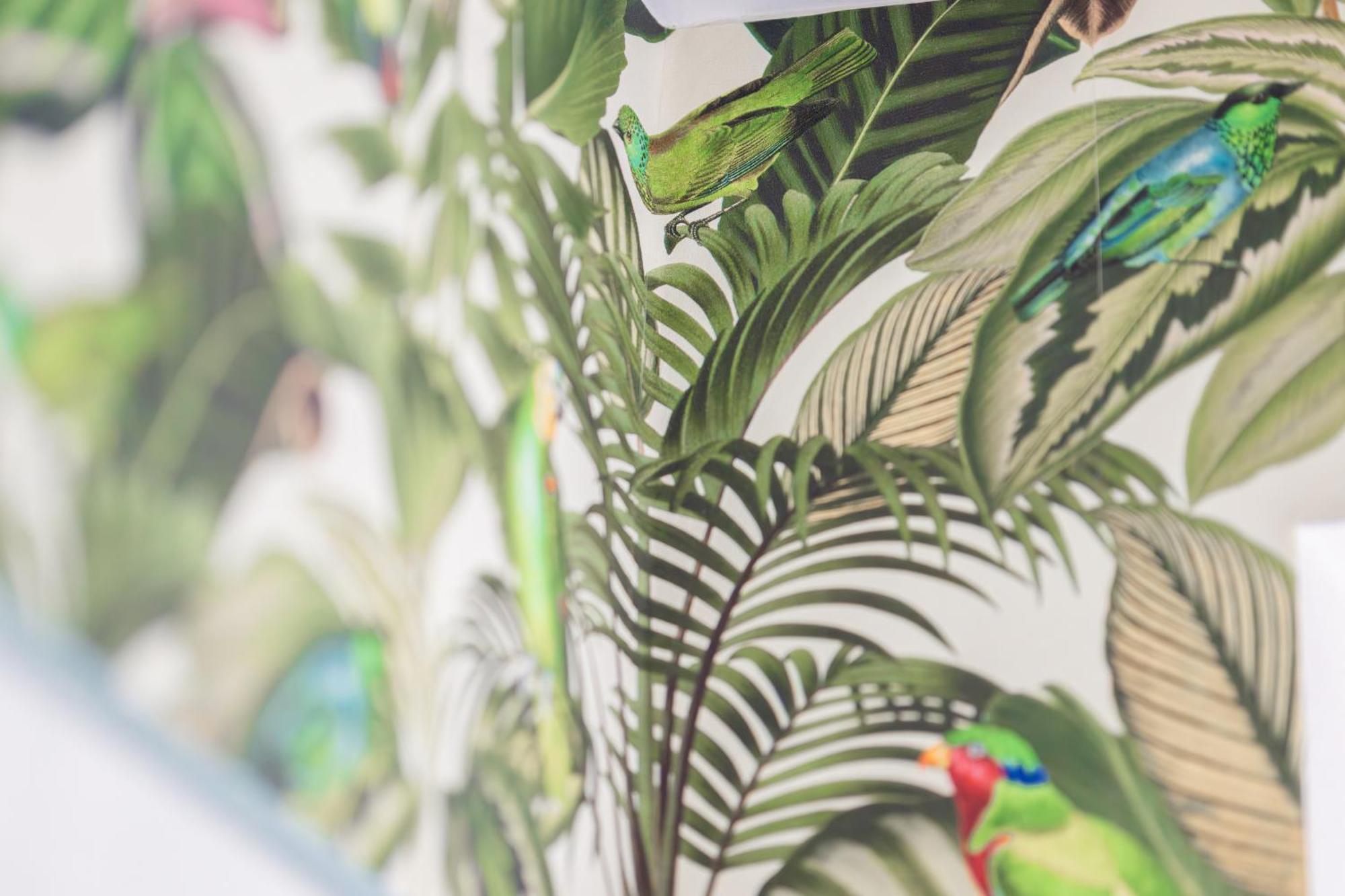 Awesome - Urban Jungle Zentral, Wilhelmshoehe Kassel